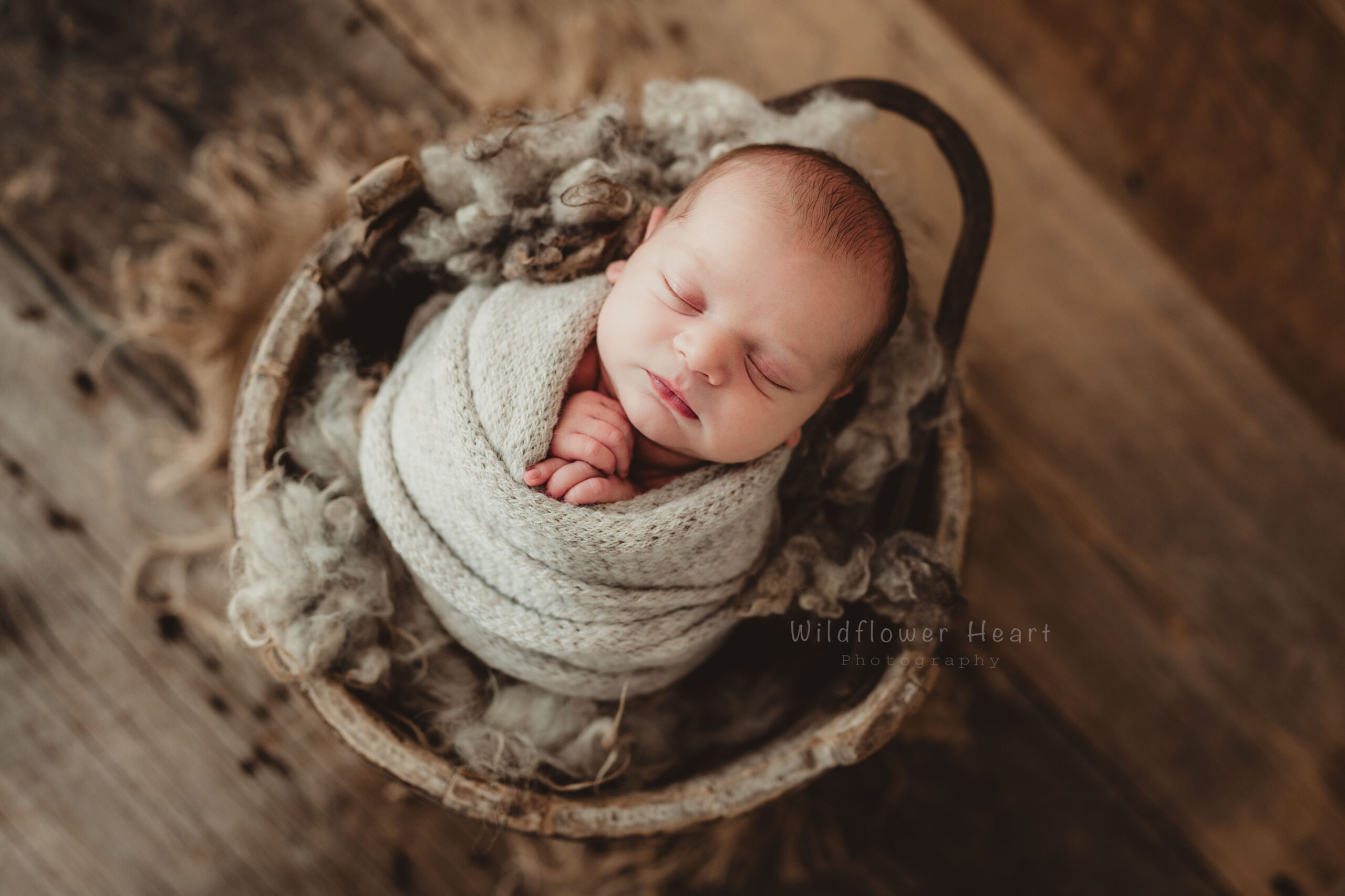 newborn baby in studio in Hanover Ontario